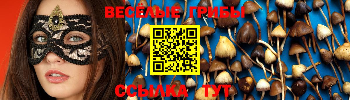 Брянск  Псилоцибиновые грибы ЛСД  Вход с VPN 